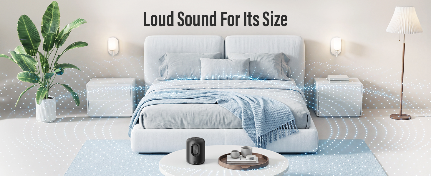 wireless portable speaker