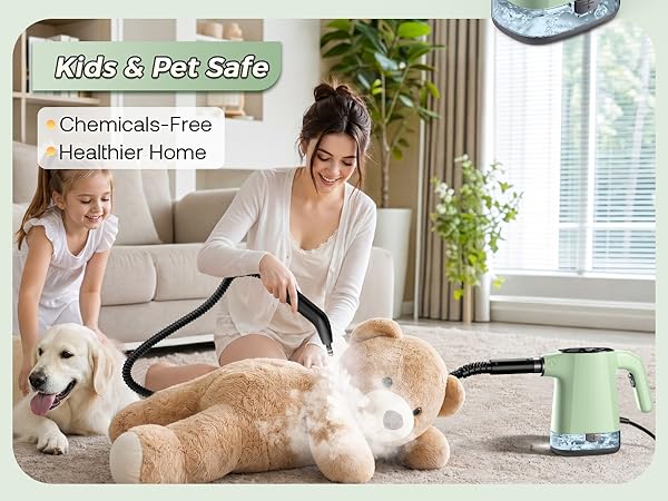 handheld steam cleaner