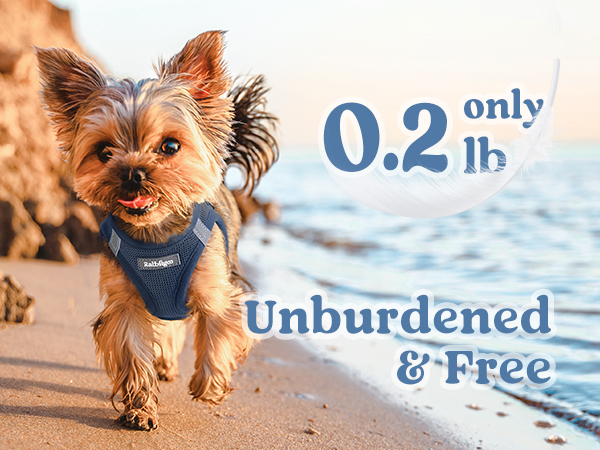 A burden free vest weighing only 0.2lbs