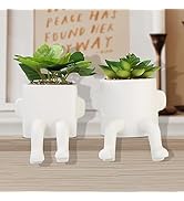 ONEDONE Fake Succulents 2 PCS Cute Artificial Succulent Plants with Human Shaped Pots Mini Potted...