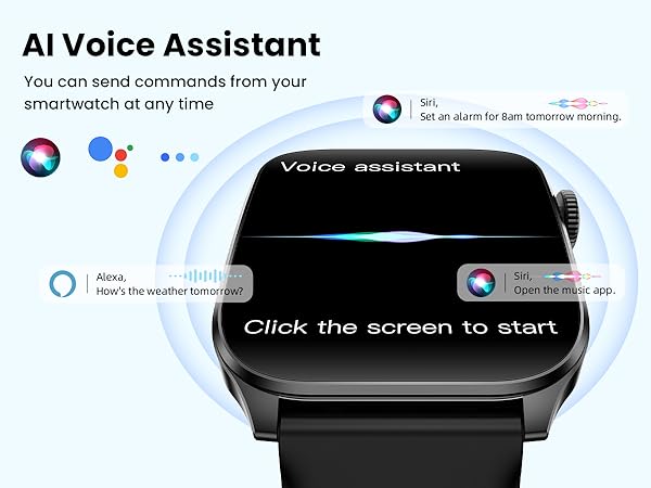 Voice Assistant