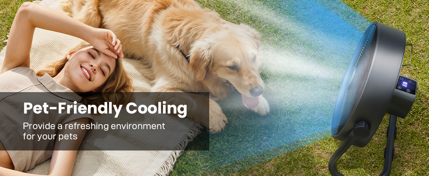 Air Choice 12&amp;#34; Battery Powered Fan