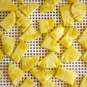 Silicone Dehydrator Sheets For Fruit Dryer Mesh