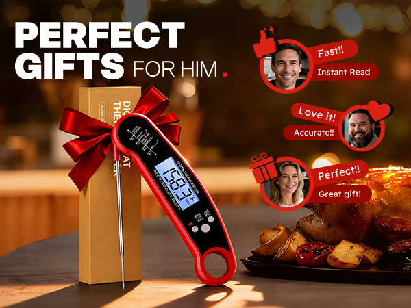 digital thermometer for cooking