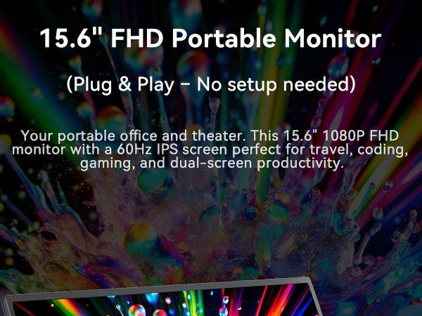 15.6 Inch Portable Monitor