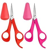 Precision Detail Scissors,Pointed Small Craft Scissors,Stainless Steel Sharp Blades Scissor with ...