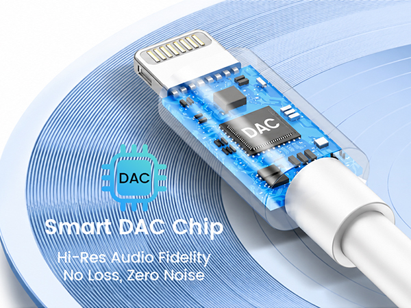 Smart DAC Chip