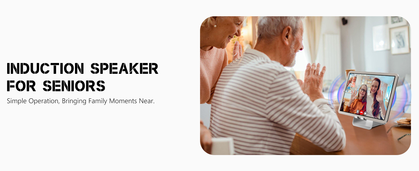 Wireless Induction Speaker