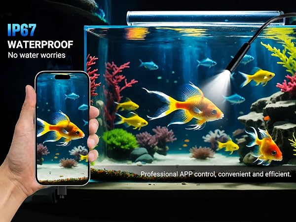 The waterproof rating is IP67