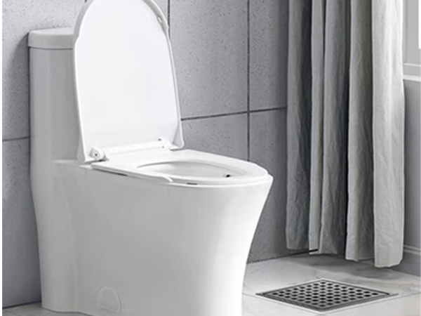 Use in the toilet