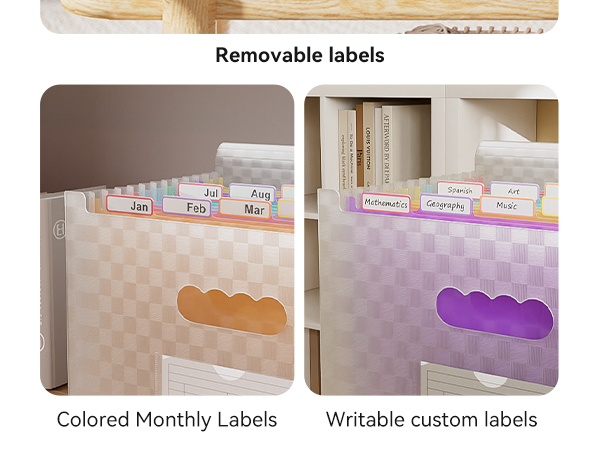 ThinkTex Accordion File Organizer, 12 - Pocket Expanding File Folders for Paper Receipts