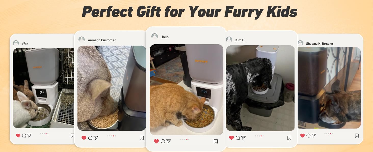 automatic cat feeder cat food dispenser automatic dog feeder pet feeder