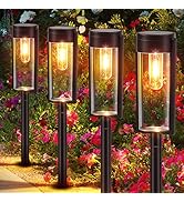 Modern Solar Pathway Lights