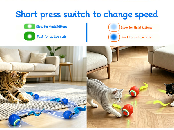 interactive automatic cat toy ball