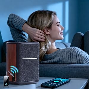 Bluetooth transmitter receiver