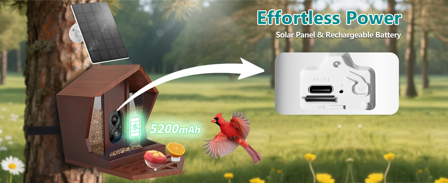 smart bird feeder with camera solar powered power wood wifi ai video live outdoor outside