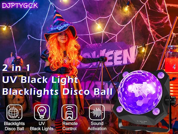 2 in 1 black light
