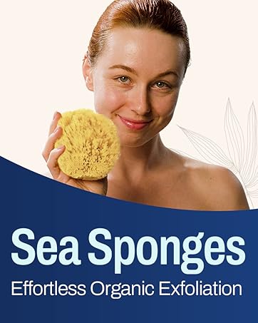 HartFelt Sea Sponges
