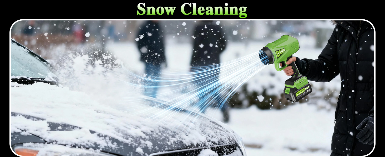 Snow Cleaning