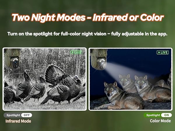 Two modes for night