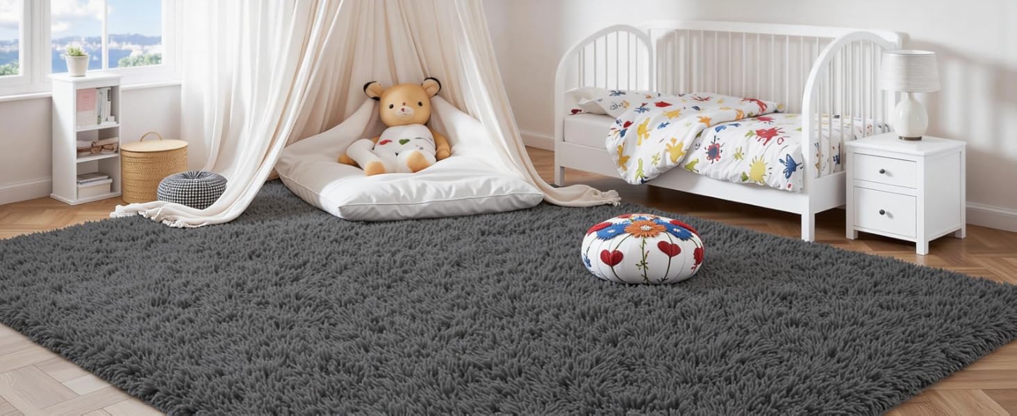 Area Rugs for Living Room Rug