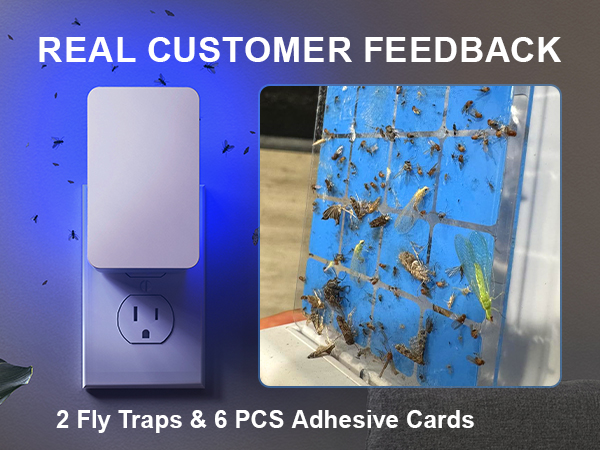 fly trap