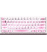 JSJT Cute Cats Themed Keycaps,PBT Side Printed Translucent Keycap, Cherry Profile Keycap Set,74 K...