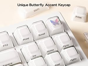Lusterfly jelly kecaps set