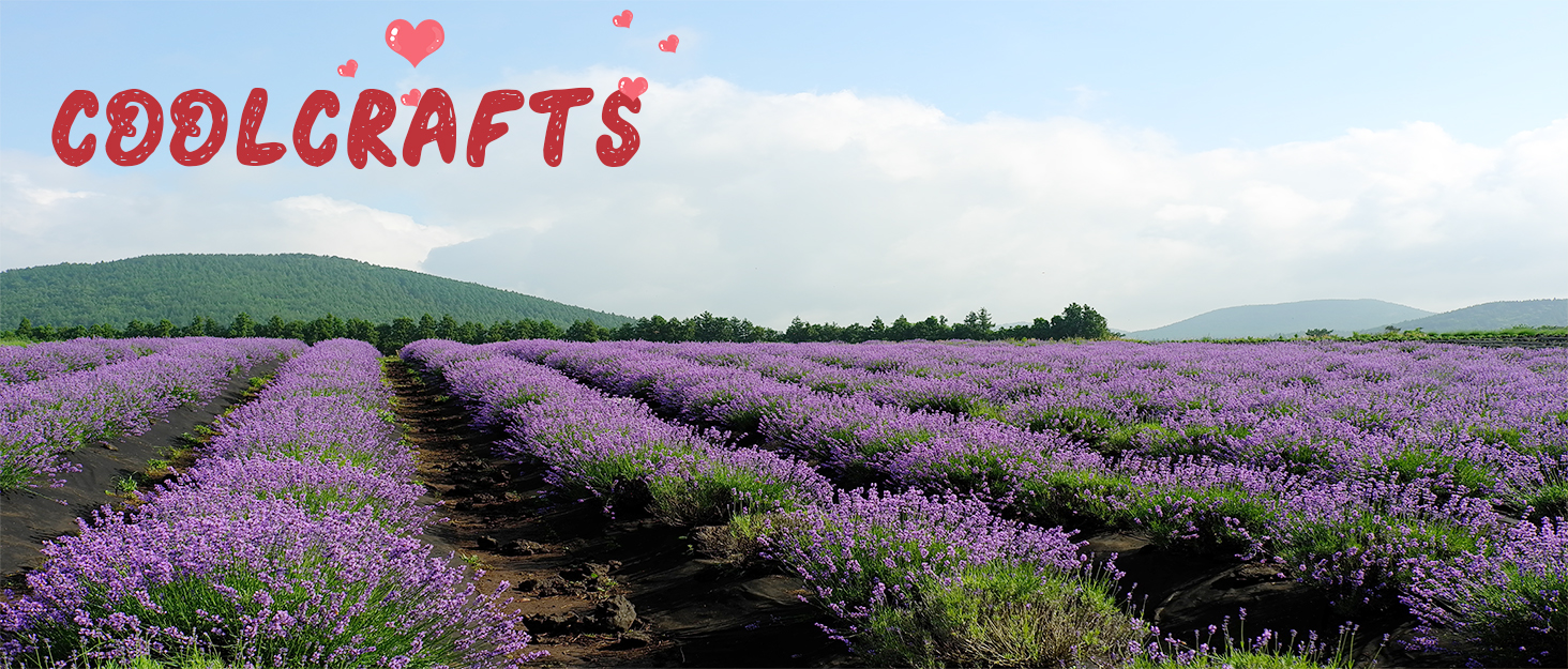 CoolCrafts Dried Lavender for Wedding Toss, Crafts, Sachets