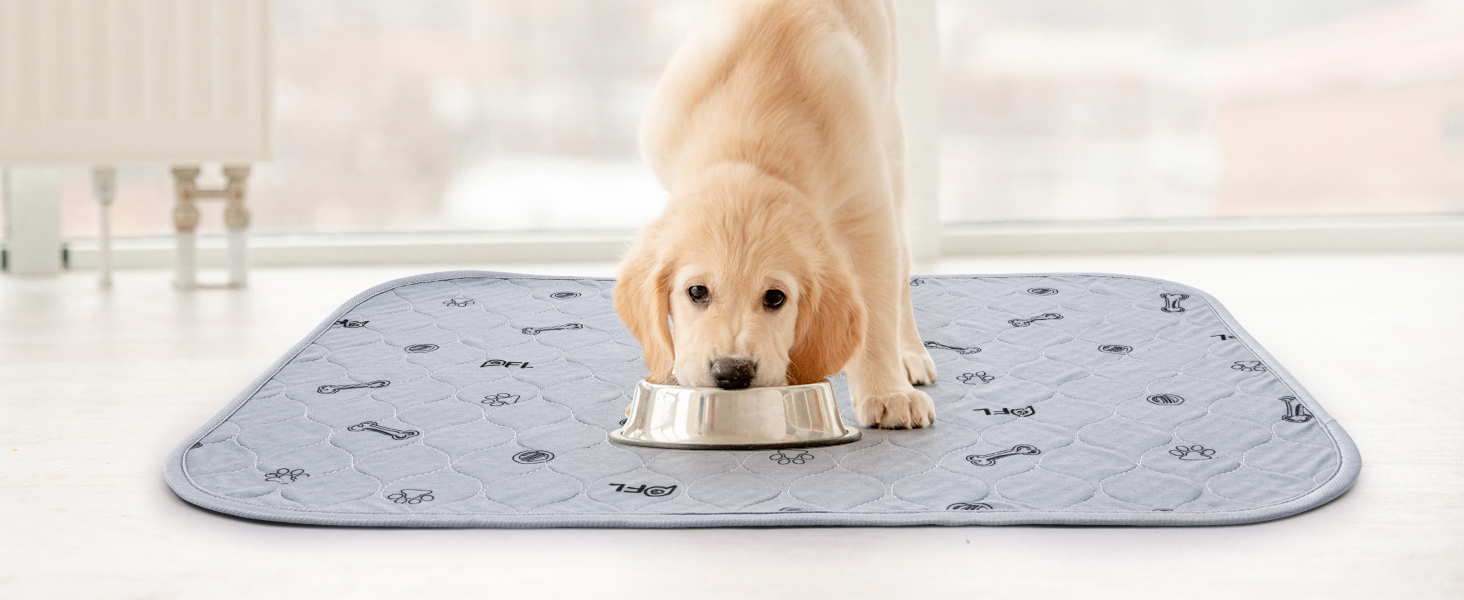 dog pee pads reusable