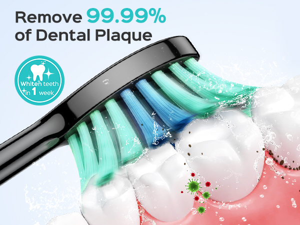 Electric Toothbrush for Adults and Kids Travel Cepillo de dientes eléctrico para adultos y niños