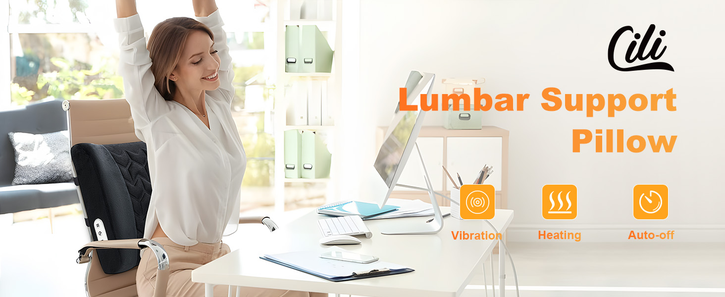 lumbar support pillow