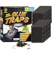 Glue Mouse Traps Indoor for Home (12 Pack), Small Glue Mice Traps, Pre-Baited Peanut Scent Sticky...