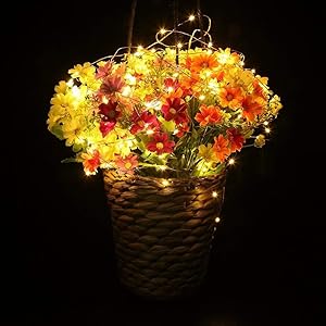 decorative string lights
