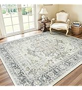 Lofus 5x7 Area Rugs for Living Room, Machine Washable Non-Slip Area Rug, Low Pile Large Rugs for ...