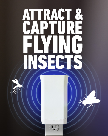Ortho Flying Insect Trap