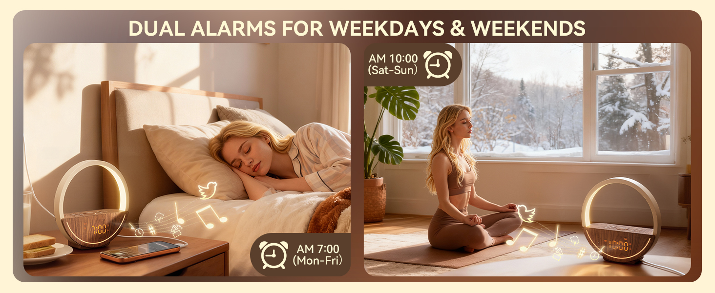 dual alarms clock