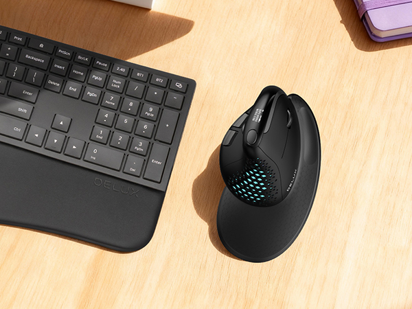 Ergonomic Mouse
