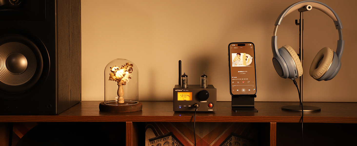 AIYIMA Audio amplifier