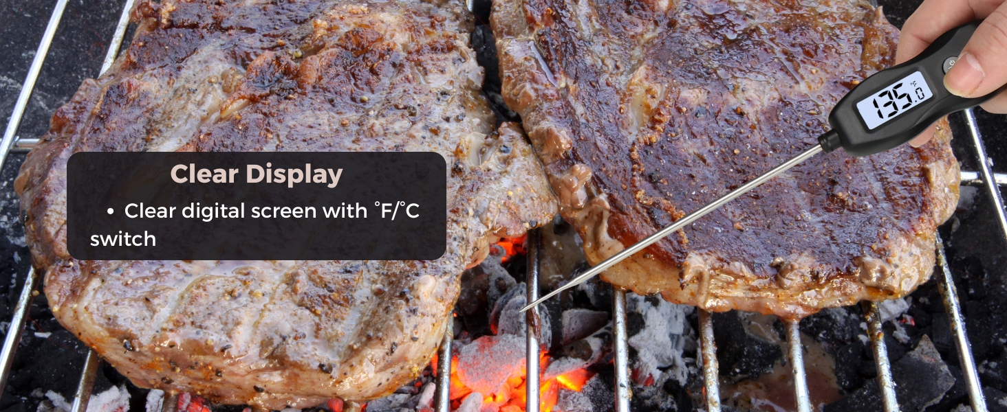 food thermometer digital