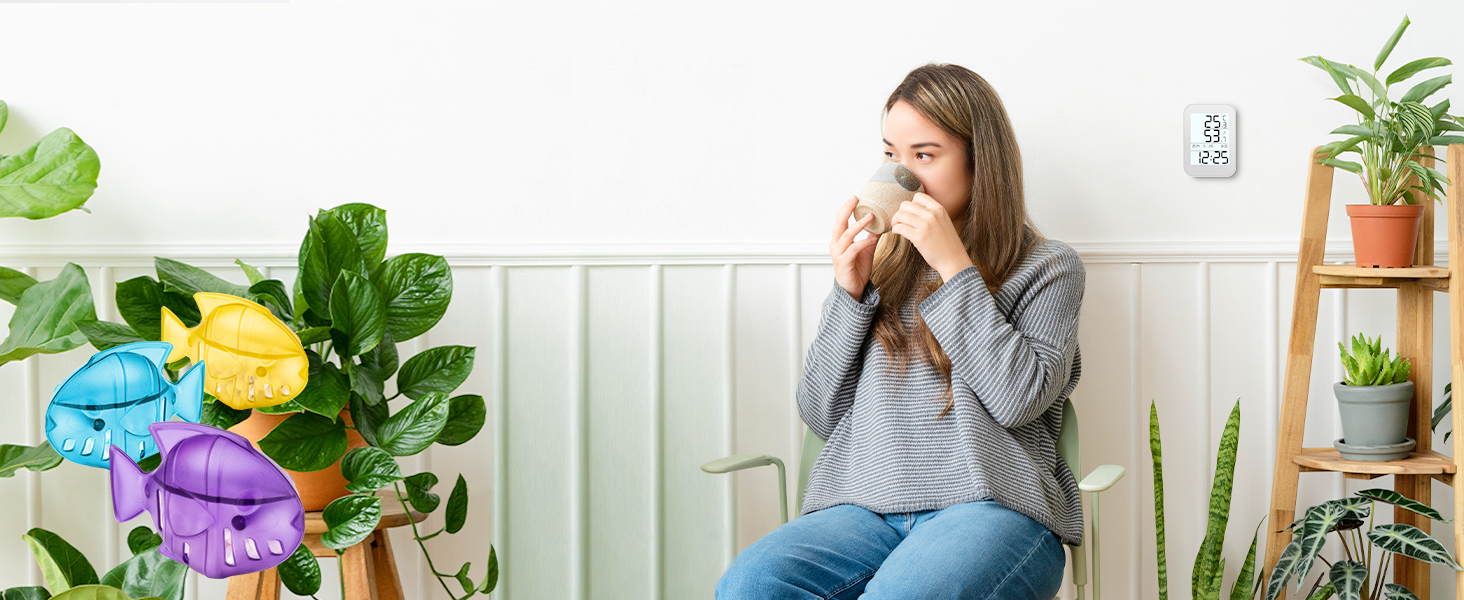 Boost the humidity in the air in your everyday life