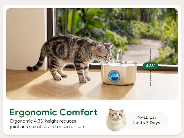 An ergonomic 4.33" height reduces joint strain for cats. Features a 3.2L capacity.