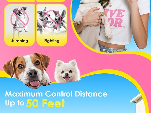 The UltrasonicWillchange your Life