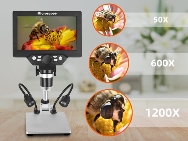 Microscope for Coins/Plant/Rock/Circuit Board
