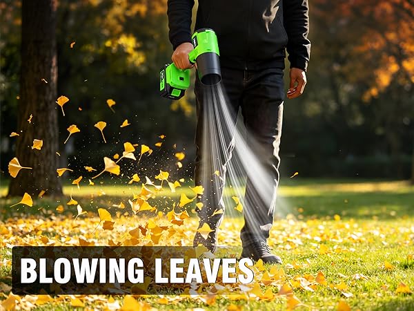 small leaf blower cordless