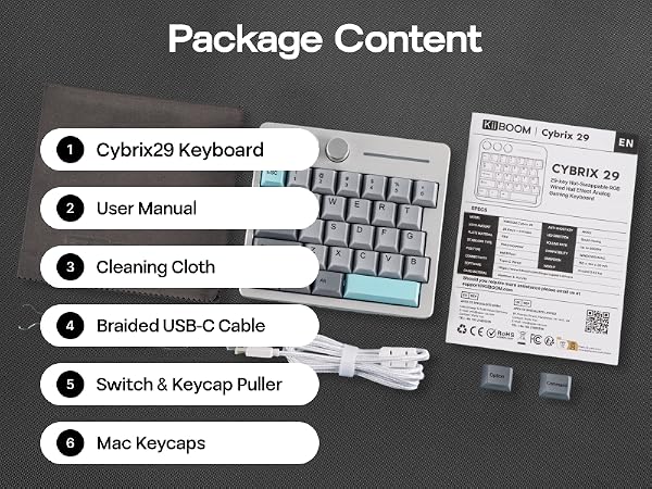 Cybrix29 Silver