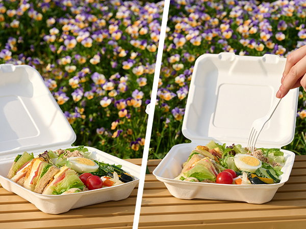 to go food containers