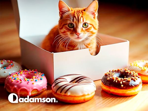 Text reads 'Dadamson'. Series of colorful frosted donuts arranged on white surface, featuring sprinkles and various toppings in warm lighting.