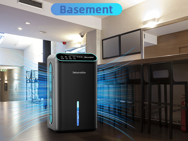 dehumidifier for basement