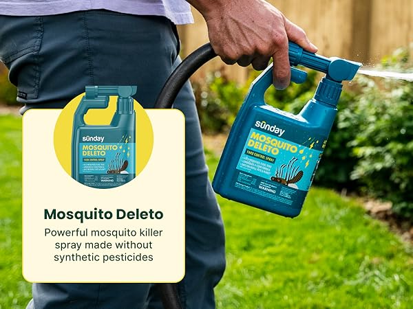 Sunday Mosquito Deleto